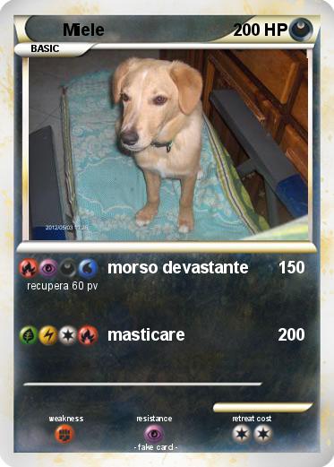 Pokemon Miele