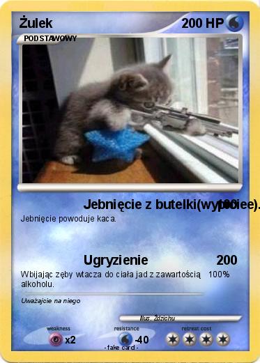 Pokemon Żulek