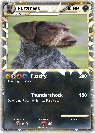 Pokemon Fuzziness