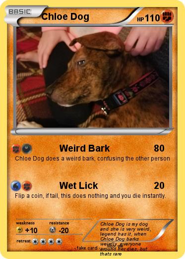 Pokemon Chloe Dog