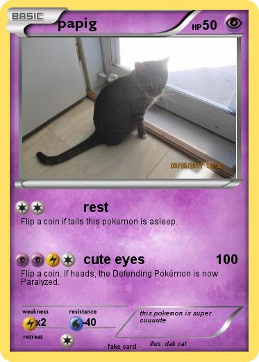 Pokemon papig