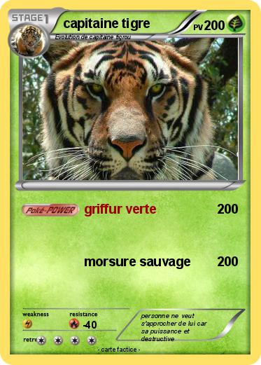 Pokemon capitaine tigre