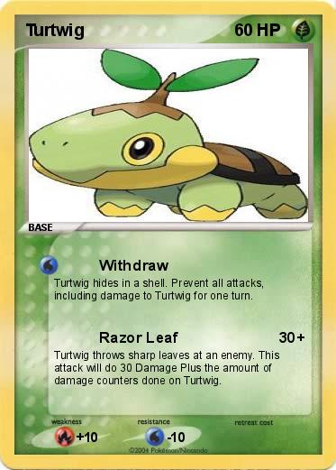 Pokemon Turtwig