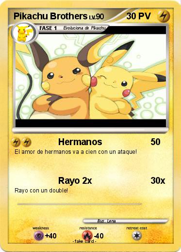 Pokemon Pikachu Brothers