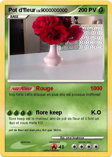 Pokemon Pot d'fleur