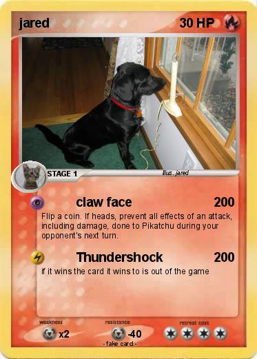Pokemon jared