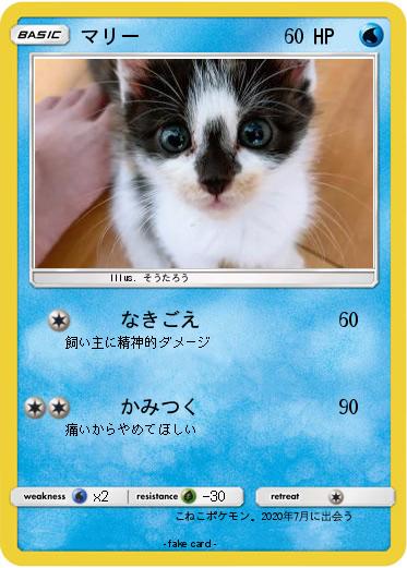 Pokemon マリー