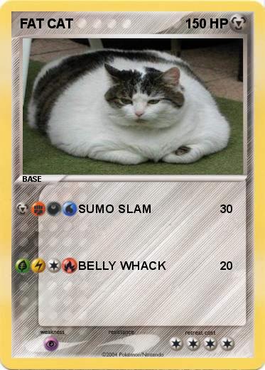 Pokemon FAT CAT