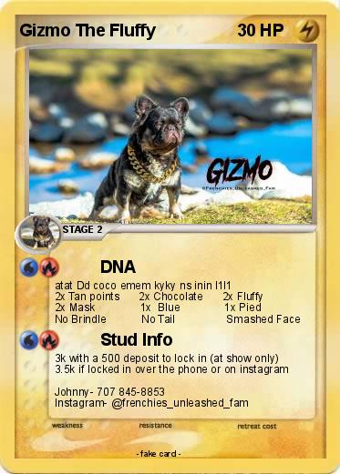 Pokemon Gizmo The Fluffy