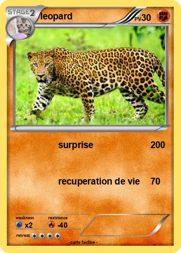 Pokemon leopard