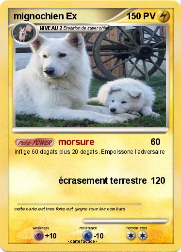 Pokemon mignochien Ex