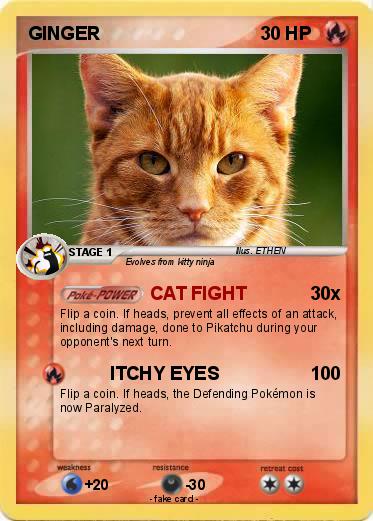 Pokemon GINGER