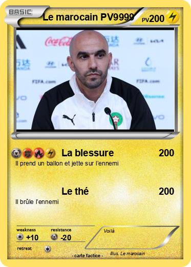 Pokemon Le marocain PV9999