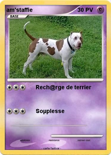 Pokemon am'staffie