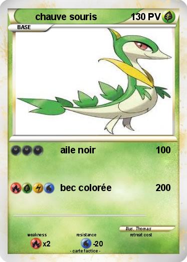 Pokemon chauve souris