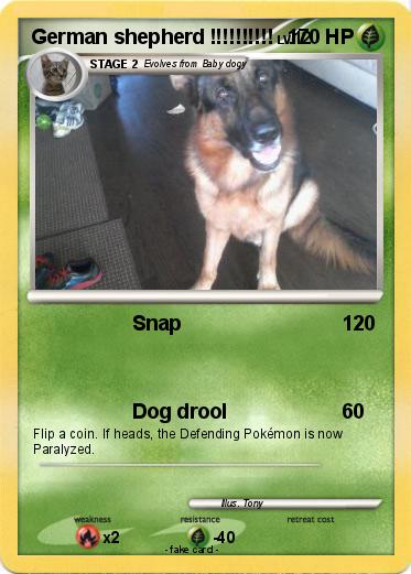 Pokemon German shepherd !!!!!!!!!!
