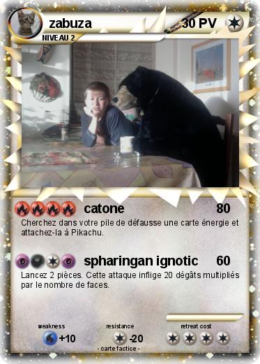 Pokemon zabuza