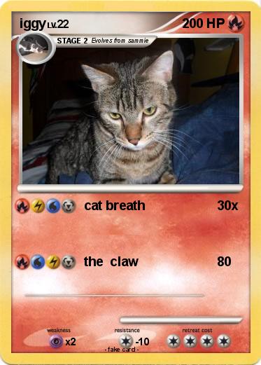 Pokemon iggy