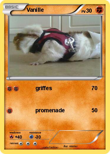 Pokemon Vanille