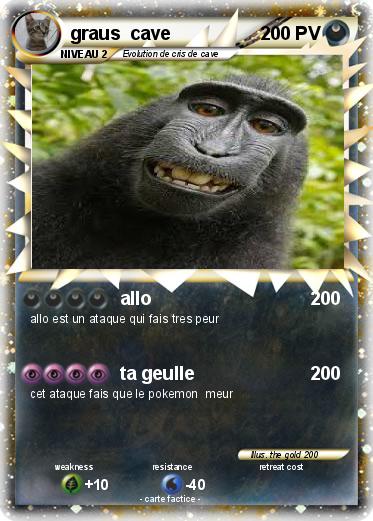 Pokemon graus  cave