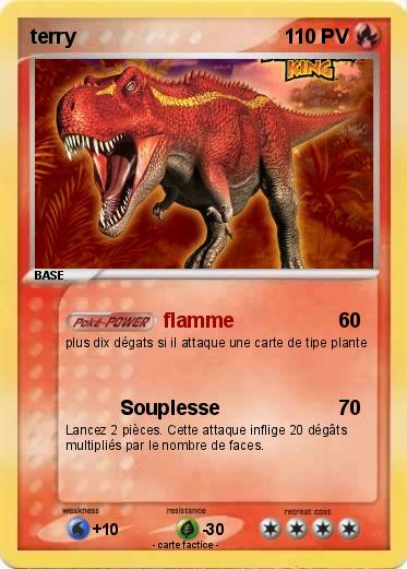 Pokemon terry