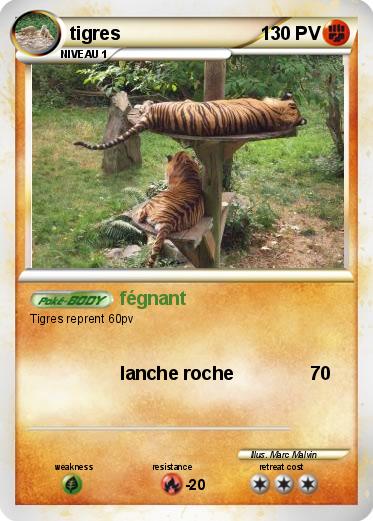 Pokemon tigres