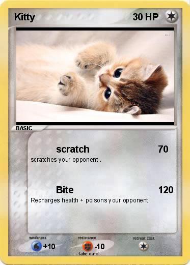 Pokemon Kitty