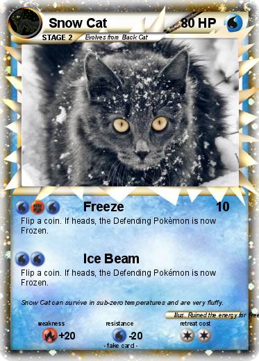 Pokemon Snow Cat