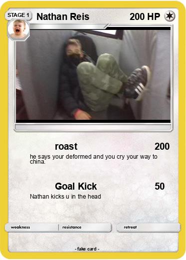 Pokemon Nathan Reis