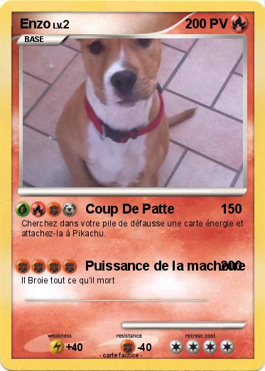 Pokemon Enzo