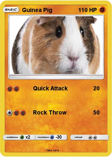 Pokemon Guinea Pig