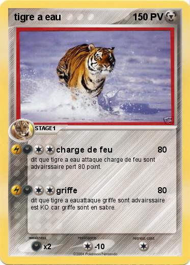 Pokemon tigre a eau