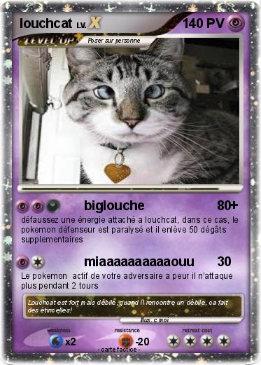 Pokemon louchcat