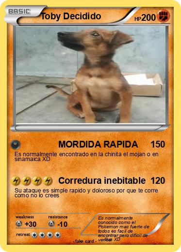 Pokemon Toby Decidido