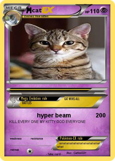Pokemon cat
