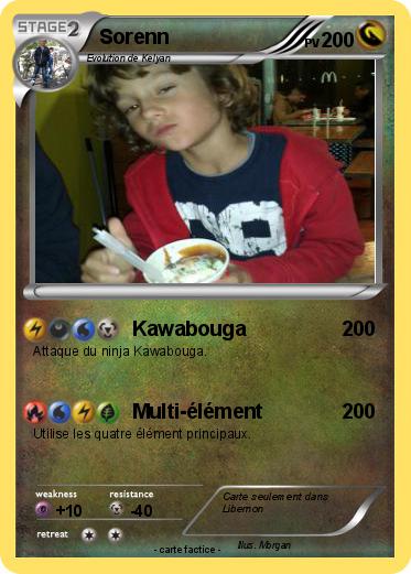 Pokemon Sorenn