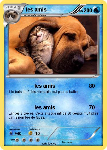 Pokemon les amis