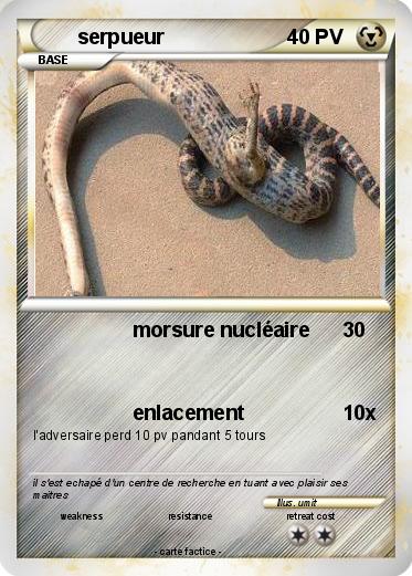 Pokemon serpueur
