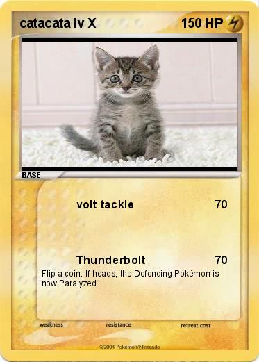 Pokemon catacata lv X