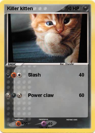 Pokemon Killer kitten