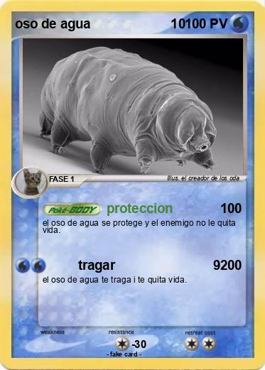 Pokemon oso de agua                      10