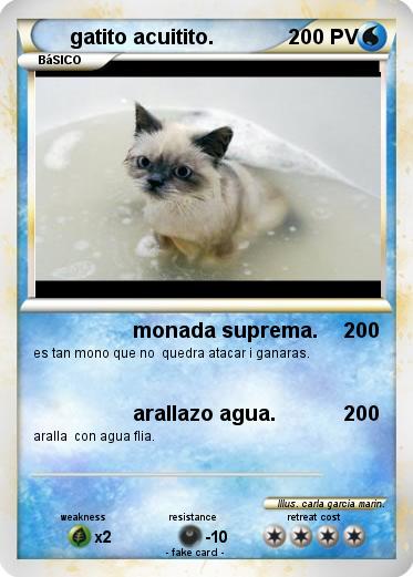 Pokemon gatito acuitito.