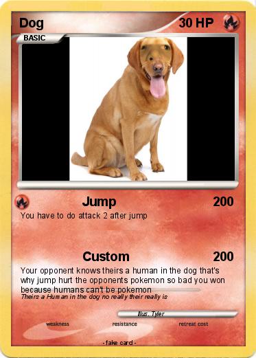 Pokemon Dog