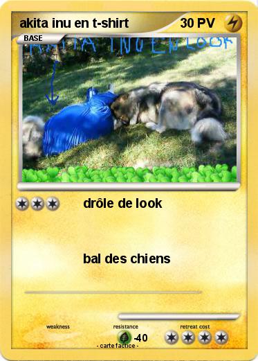 Pokemon akita inu en t-shirt
