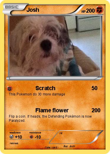 Pokemon Josh