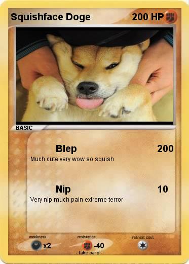 Pokemon Squishface Doge