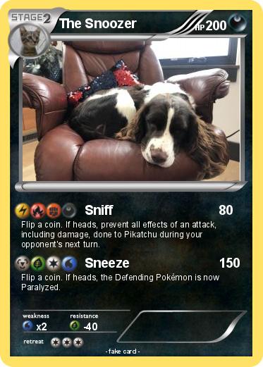 Pokemon The Snoozer