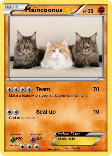 Pokemon Maincoonus