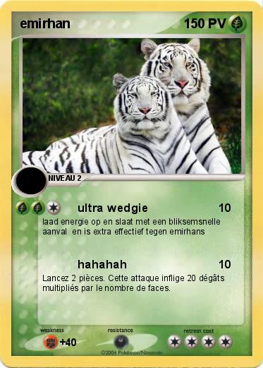 Pokemon emirhan