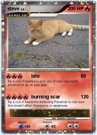 Pokemon steve